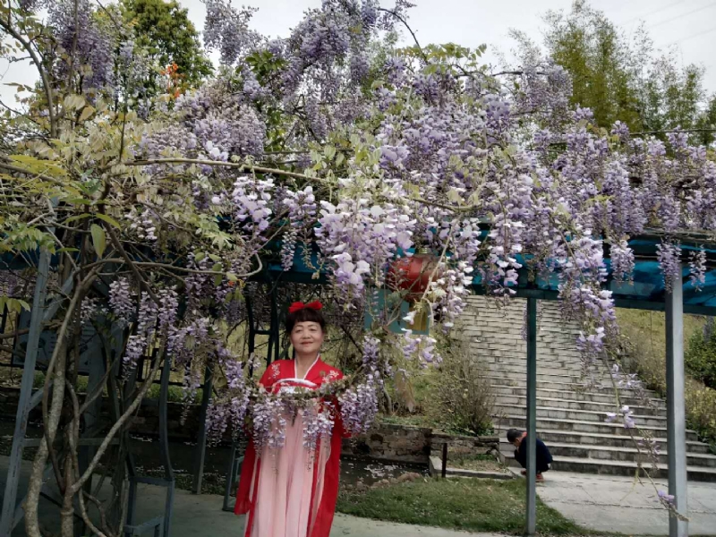 莉莉的第一张照片--将乐婚介网