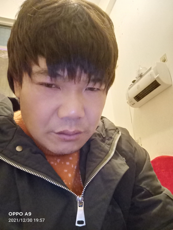 小鸟找窝的第二张照片--将乐婚介网
