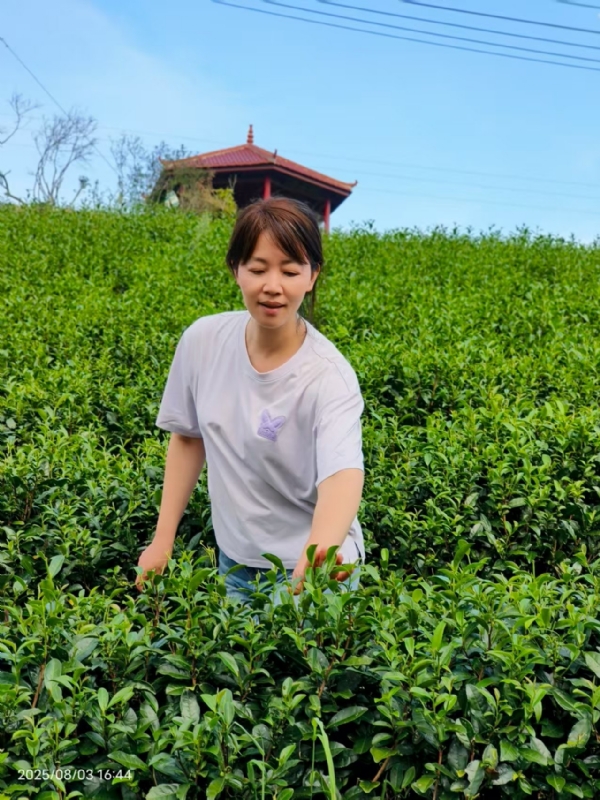 Q绮芳的第一张照片--将乐婚介网